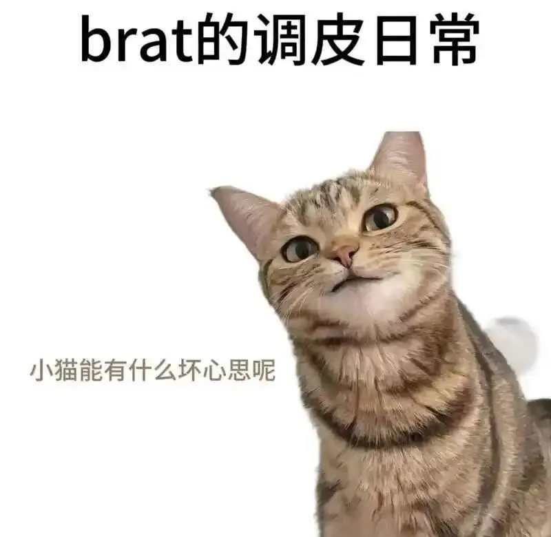 西檬之家BDSM入圈?先懂这些再玩 一