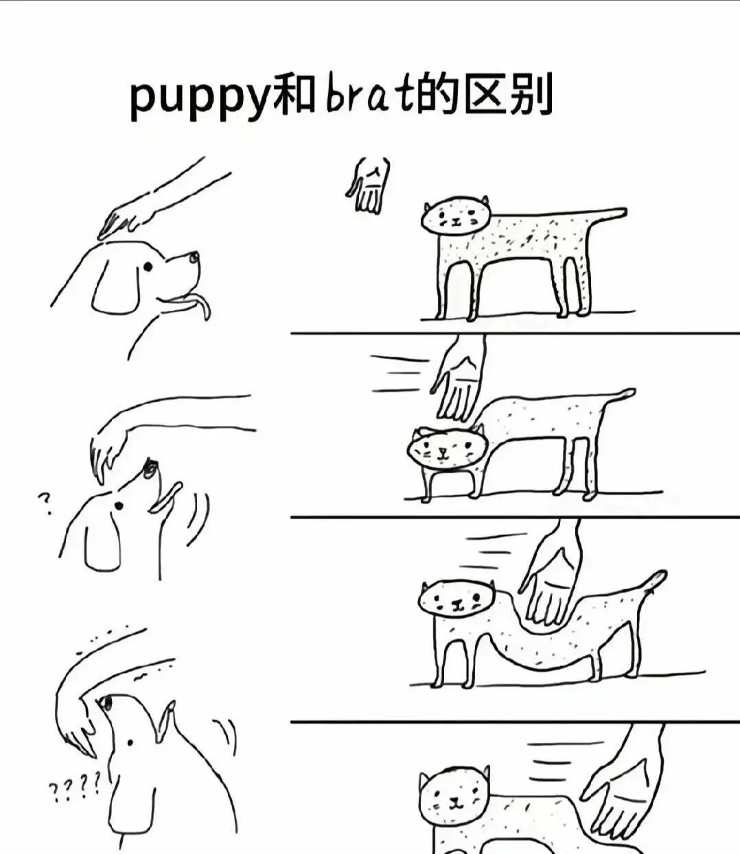 西檬之家字母圈里的Dom究竟是何意? 一