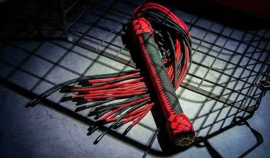 西檬之家BDSM新人避坑指南 一