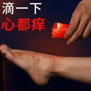 西檬之家sp小圈新人如何入圈 一