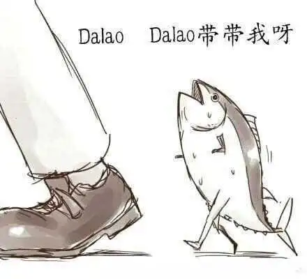 西檬之家字母圈的s倾向是什么? 一
