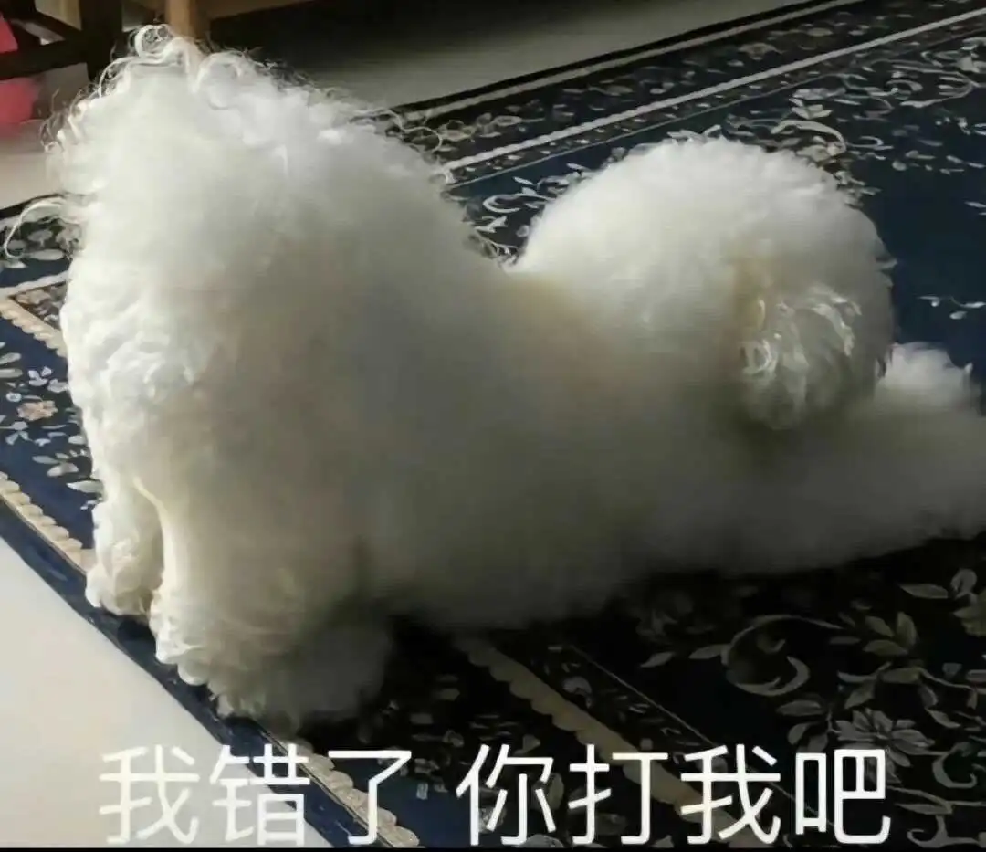 西檬之家sm亚文化是什么?新人如何安全入圈 一