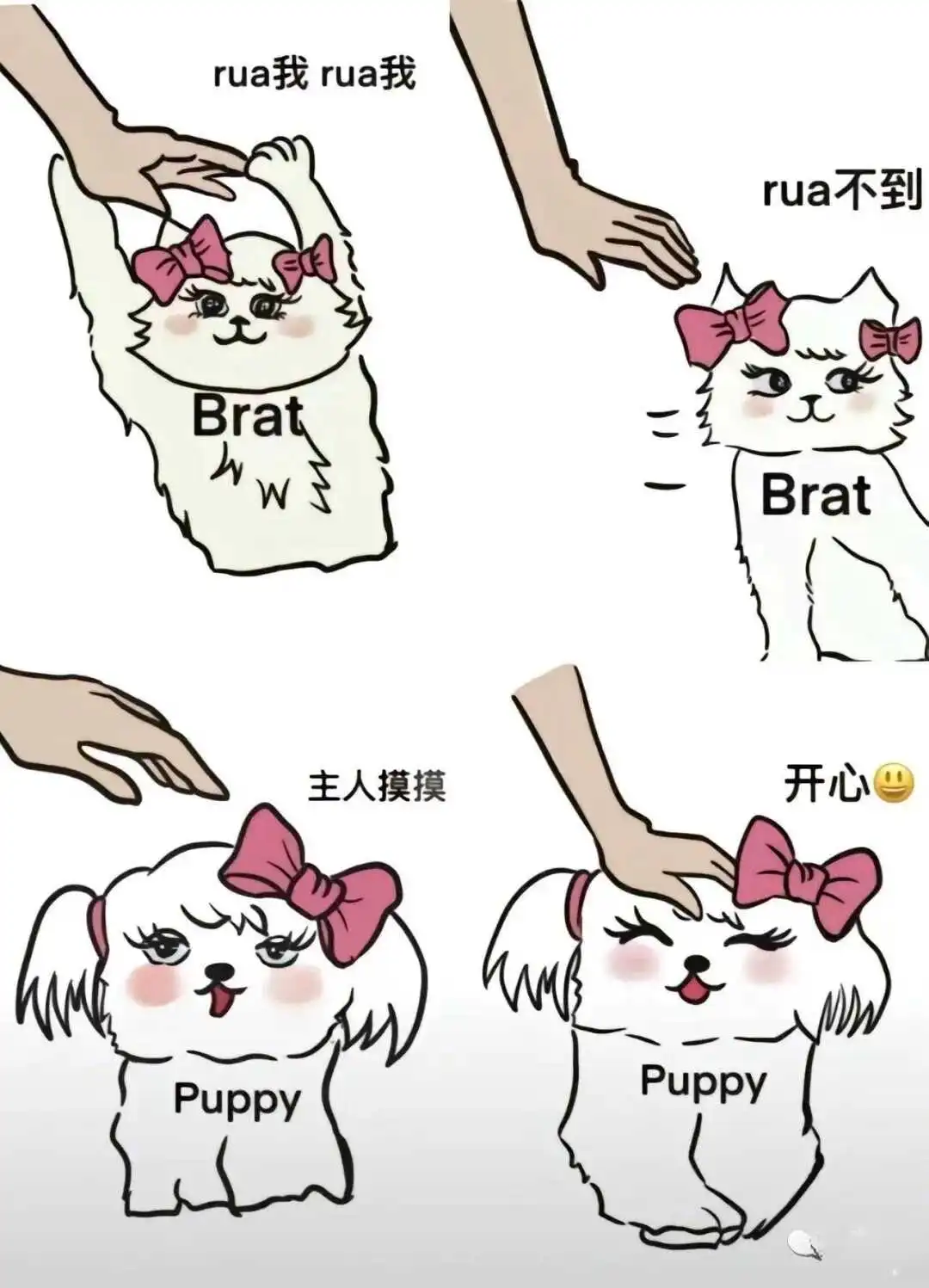 西檬之家斯慕圈新人如何入圈 一