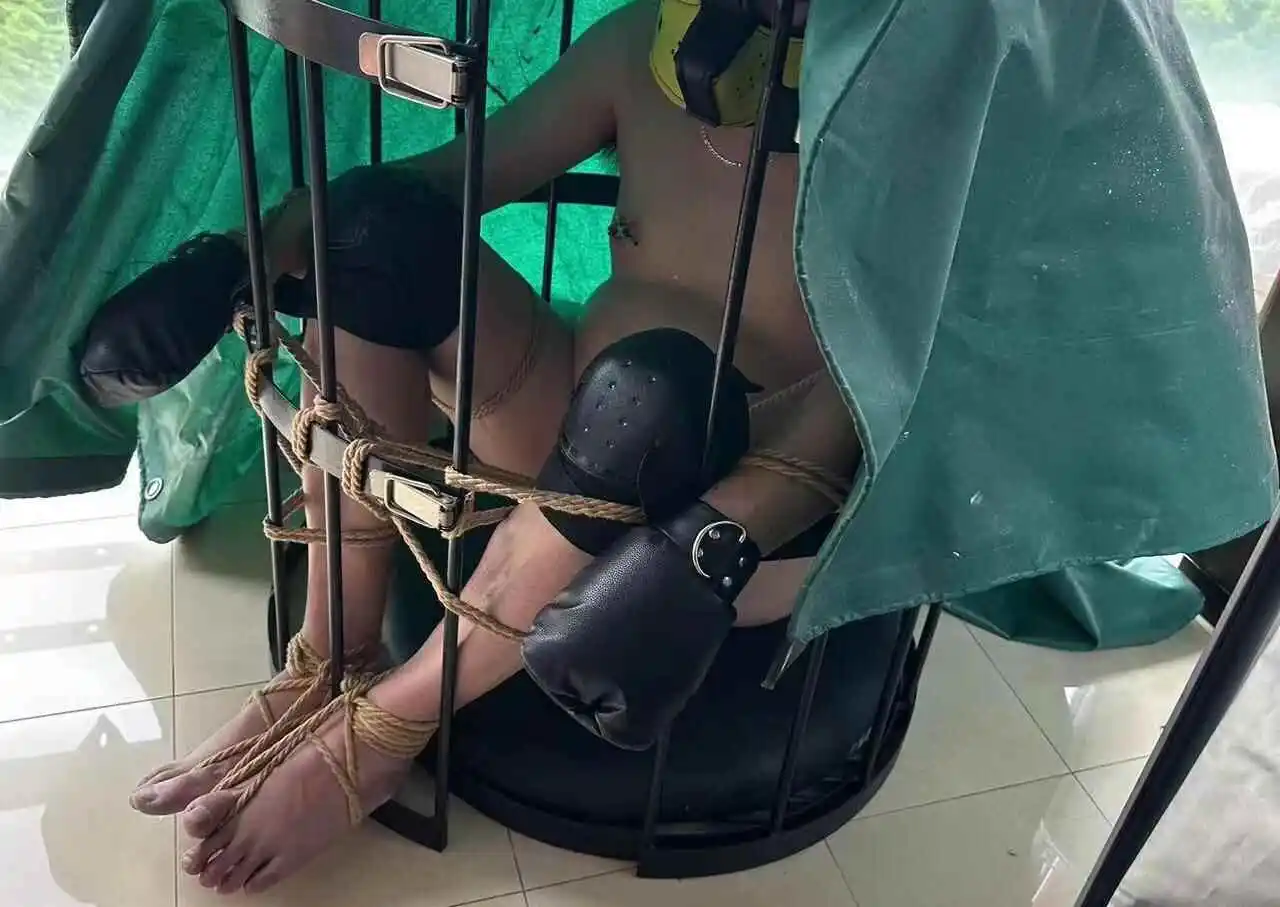 西檬之家k9犬系是什么? 一