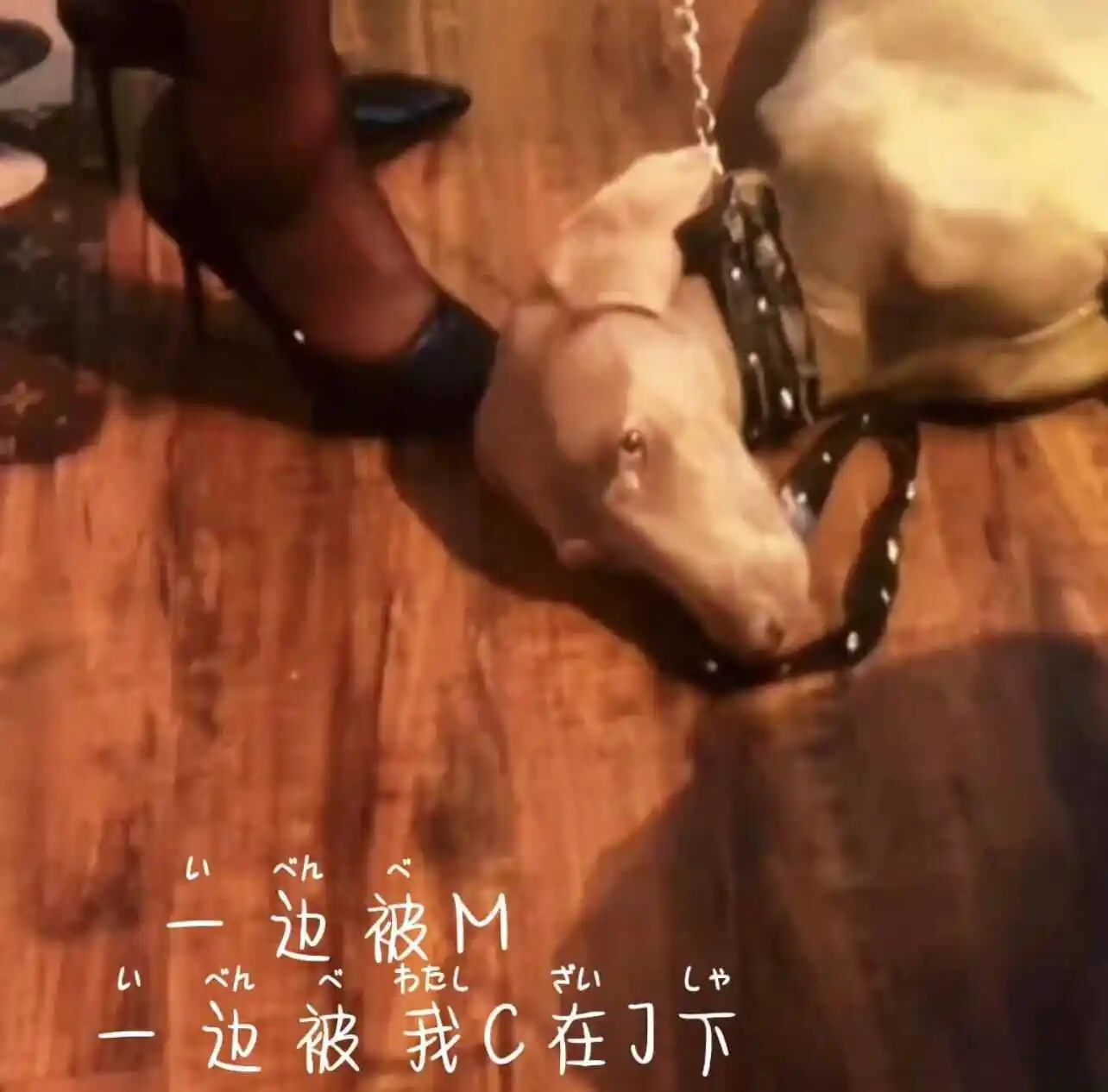西檬之家ddlg是什么? 一