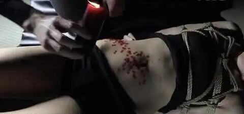 西檬之家BDSM入圈新人避坑指南 一